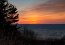 Fundraising Page Image