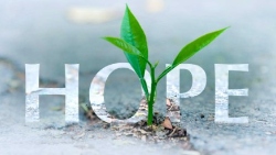 Fundraising Page Image